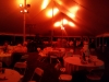 Orange LED Lites