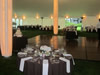 Specialty Tent Lighting