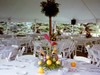 Tropical Tent Setup