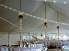 40' x 120' Pole Party Tent