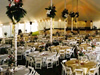 Creative Party Tent Poles