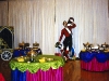 Silver Drape Carnival Theme